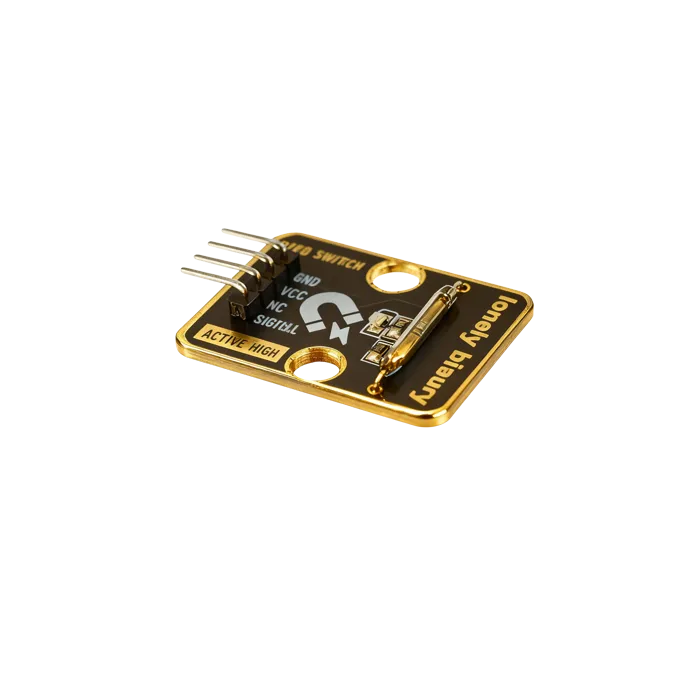 Reed Switch — side