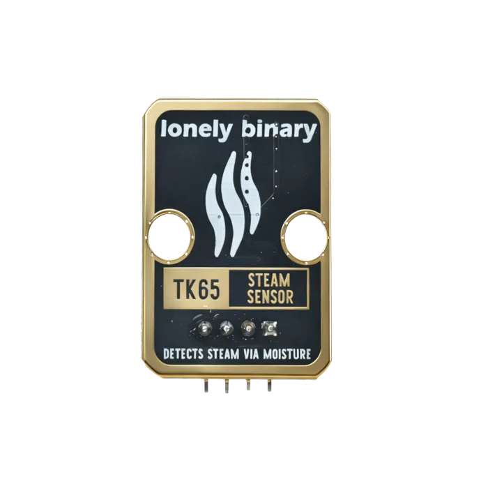 Steam Sensor — back